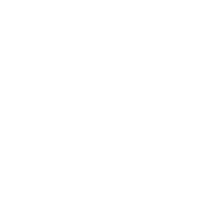SimpleTech